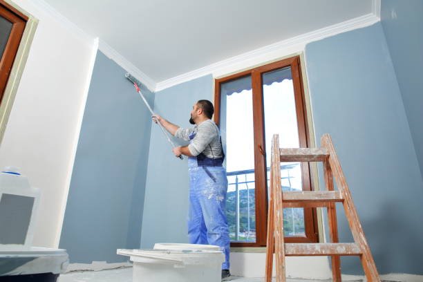 Best Eco-Friendly and Low-VOC Painting  in Red Lake, MN